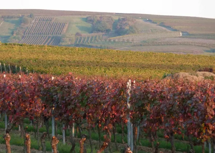 Ferienwohnung Weingut Kost