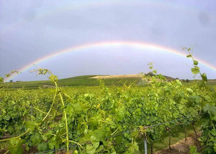 Ferienwohnung Weingut Kost