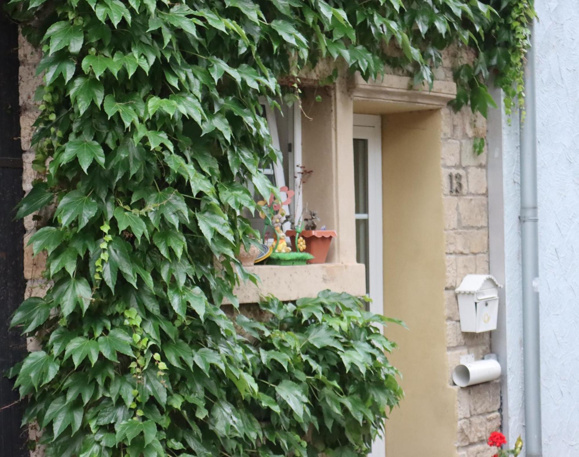Weingut Kost Apartment Horrweiler